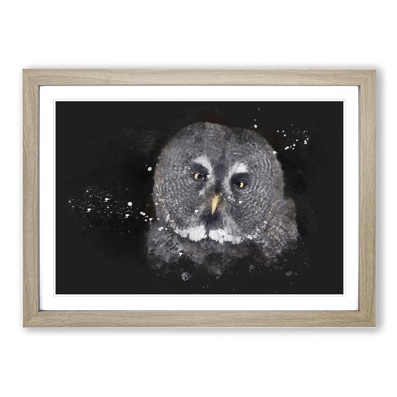 Great Grey Owl Vol.2 - Picture Frame Graphic Art, 48cm H x 65cm W x 2cm D, Oak Framed