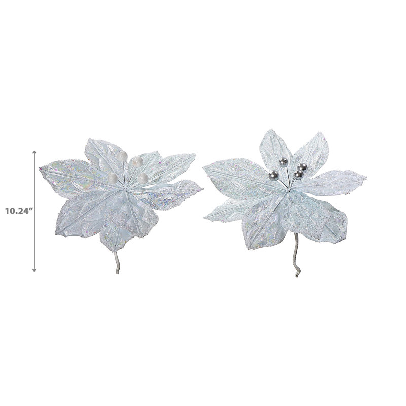 Poinsettia blanc - ensemble de 12