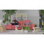 Triangle Glass Coffee Table with Wooden Base Clear Glass Top Mid-Century Abstract Glass Table-739920193