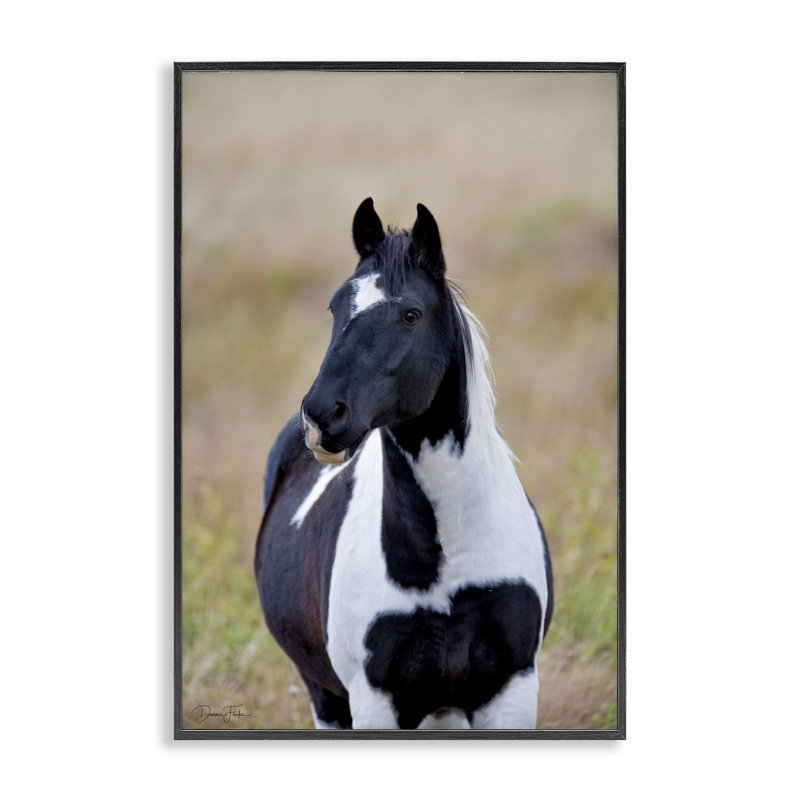 «Black & White Foal», art de la giclée encadrée par Dennis Frates, H 18 po x l 12 po, Giclée encadrée noir minuit