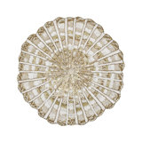 Nautilus Placemat in Champagne/Gold/White