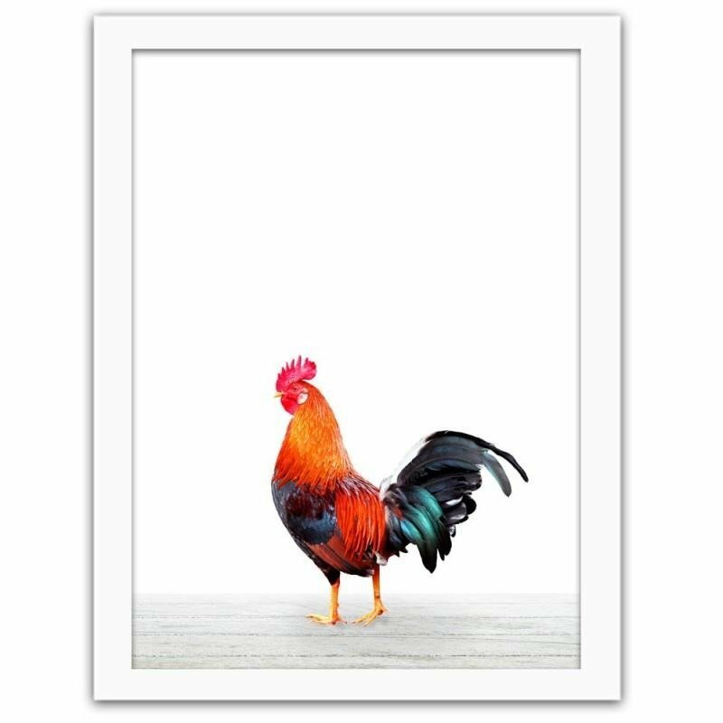 Gerahmter Fotodruck Rooster