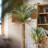 Faux Palm Tree in Pot-2111387654