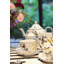 Butterfly Parade Porcelain Saucer
