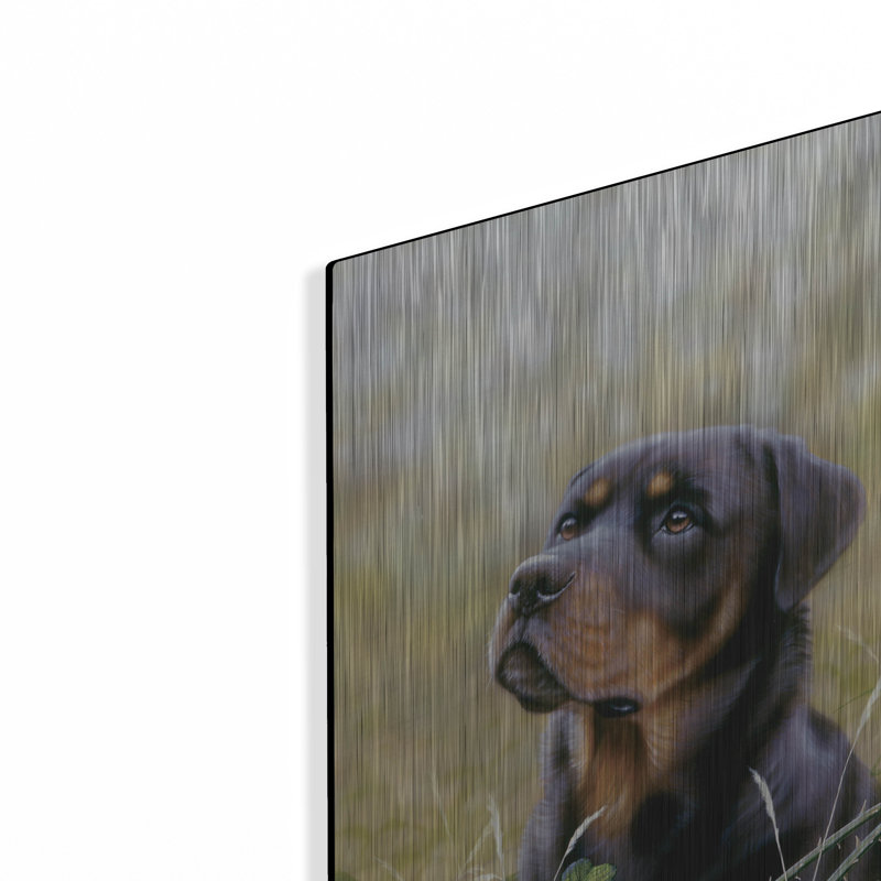 «Rottweiler Spirit of Loyauté» par John Silver