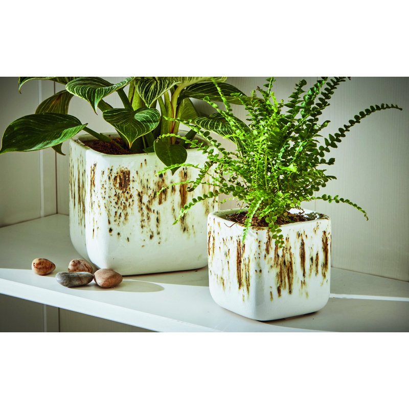 Square Planter Small, 4" H x 4" W x 4" D