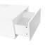 Darnika Solid Coffee Table with Storage-801468481