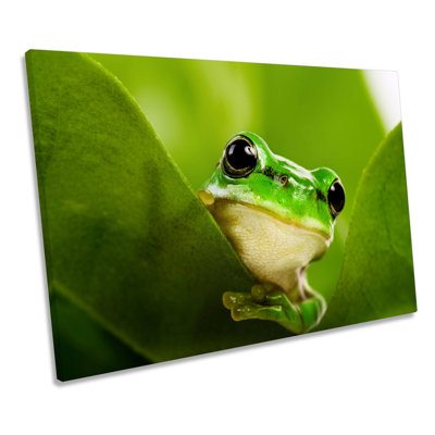 Green Frog Wildlife - Wrapped Canvas Print