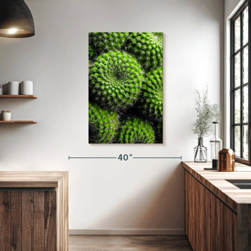 Cactus Harnek, H 39 po x l 26 po