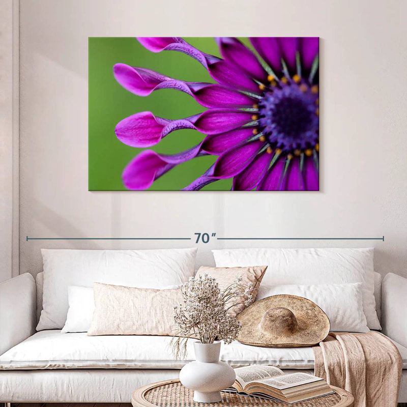 Harnek Exotic Purple African Daisy, 30" H x 45" W