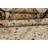 One-of-a-Kind 9'10" X 14'4" Wool Area Rug in Ivory