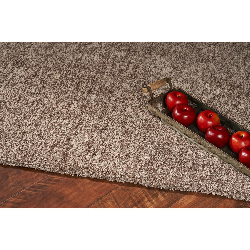 Tayla Handmade Handwoven Beige Area Rug, Rectangle 3'3" x 5'3"
