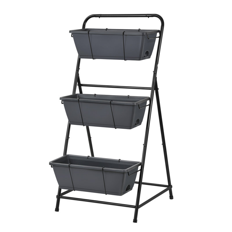 Jardin vertical Cailidh, Gris