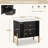 Danny Wooden Nightstand With 2 Storage Drawers & Metal Legs-300224049