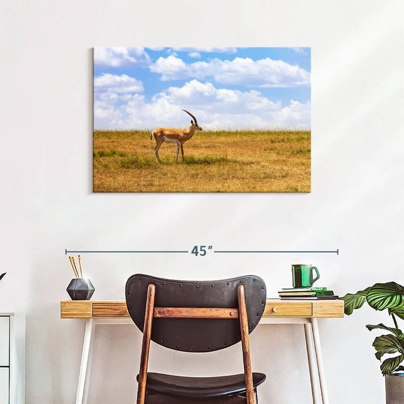 Gazelle Brampt dans la savane, H 24 po x l 36 po