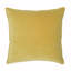 Franklin Washable Velvet Square Pillow Cover & Insert -1569209119-1602520972