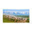 Art sur toile, Hua Zhu-109345595