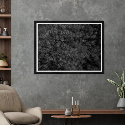 Among Static Pines Among Static Pines I by Tim Klein - Single Picture Frame Photograph