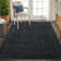 Letisia Indoor / Outdoor Rug
