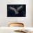 Flying Gray Owl-107703731