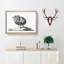 Sketch of a Rooster by Jean Bernard - Picture Frame Drawing Print-55619380-55619376