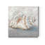 «Blue Shell Study II», reproduction d'art sur toile tendue-1507296814