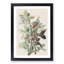 Ground Doves by John Audubon - Picture Frame Painting Print-55608833-55608835