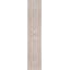 Downeast Brunswick Oriental Area Rug in Beige-1370613025