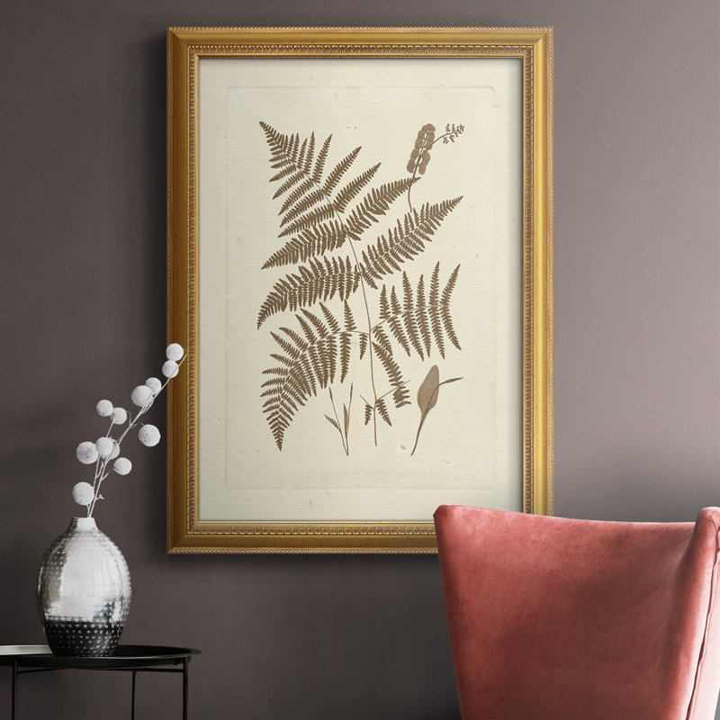 Sépia fougères I, toile encadrée de qualité supérieure - prête à être accrochée, H 20 po x l 16 po x P 2,5 po