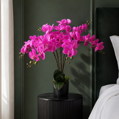 Plastic, Silk Orchid Arrangement in Pot