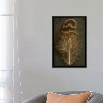 " Pheasant Hen Feather " by Alyson Fennell