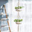 Sollis Hanging Planter
