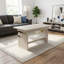 Lift Top Coffee Table with Storage-1040319186