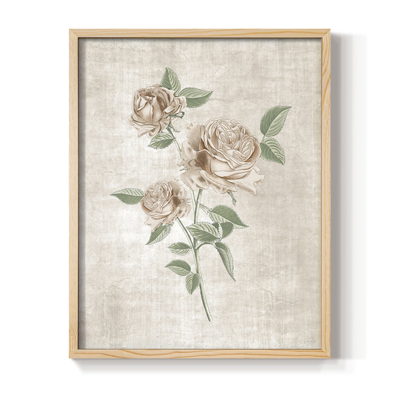 Blush Rose Botanical I, reproduction encadrée - bois massif, Naturel, H 11 po x l 9 po