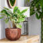 Bronze Concrete Effect Round Indoor Plant Pot for Indoor Plants, Small Flower Pot with Geometric Pattern D23 H17 cm, with Inner Top D19 cm, 4 litres
