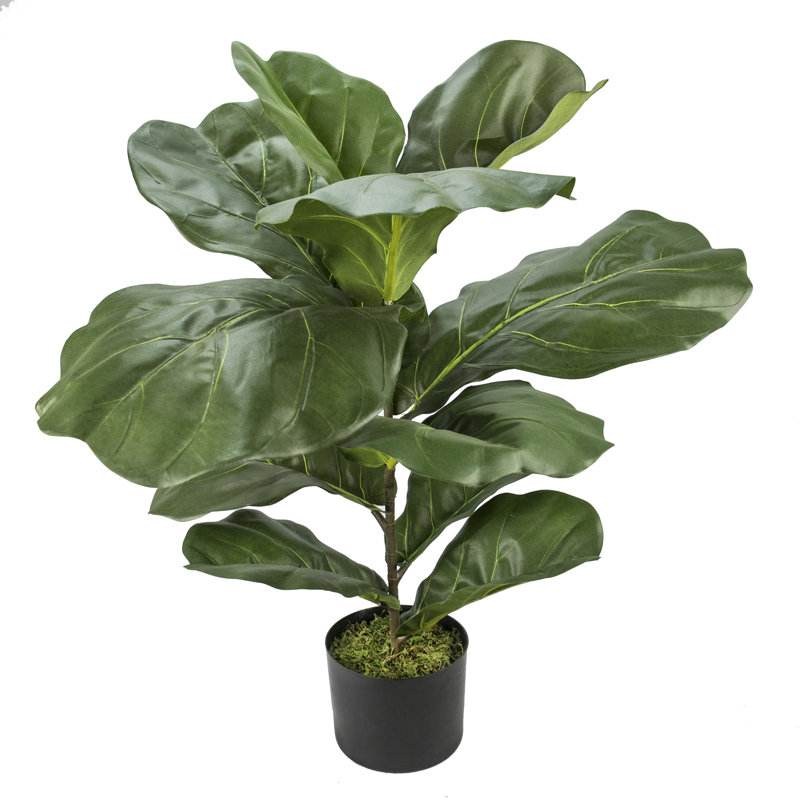 Figuier artificiel 30 po en pot