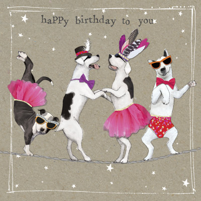 Fancypants Cool Dogs X