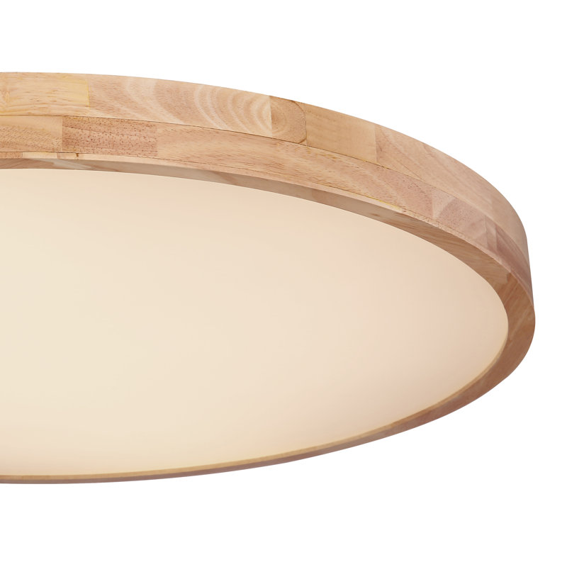 Hamlin Plastic LED Semi Flush Mount