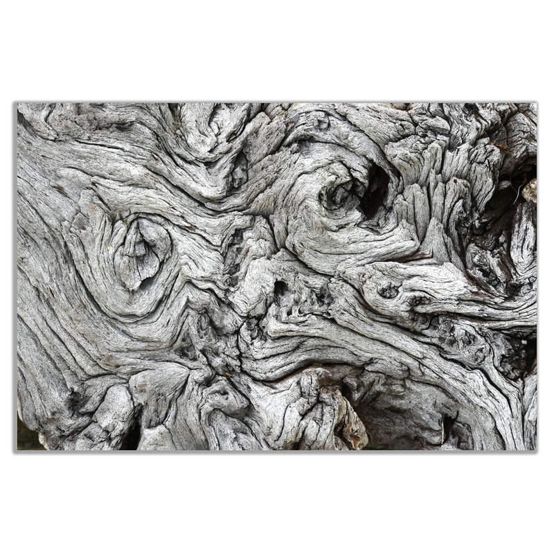 Driftwood - Wrapped Canvas Print, 20cm H x 31cm W