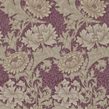 Chrysanthemum Wallpaper