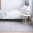 Indoor Rug-1060624922