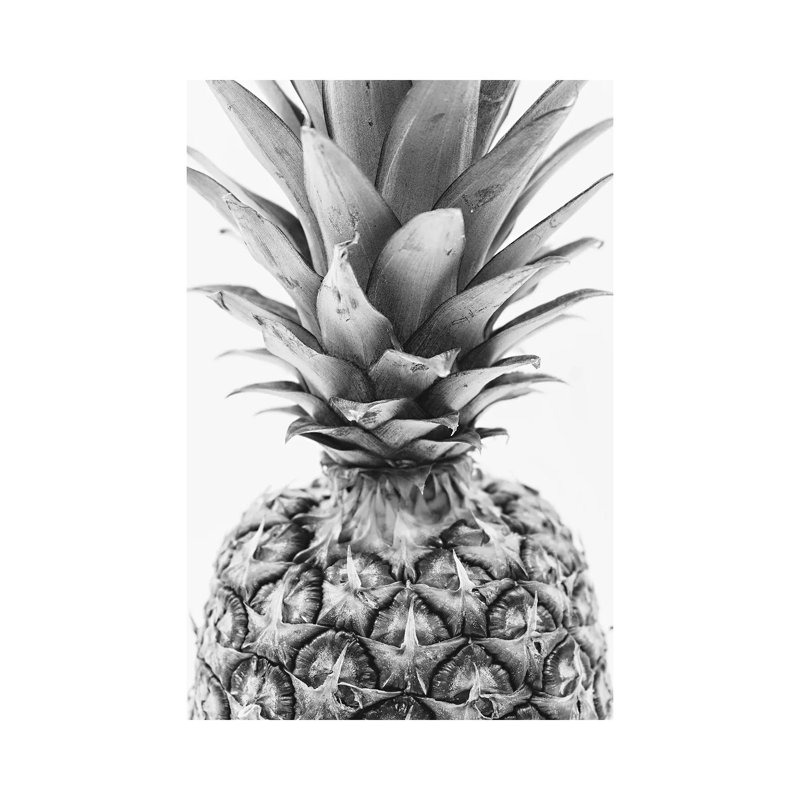 Mono Pineapple - Wrapped Canvas Print, 20.32 cm H x 30.48 cm W