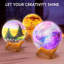 Trousse de peinture bricolage 3D Moon Lamp