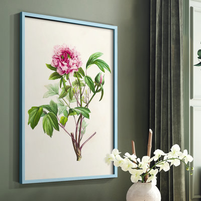 «Pretty Pink Botanicals», reproduction encadrée en bois massif