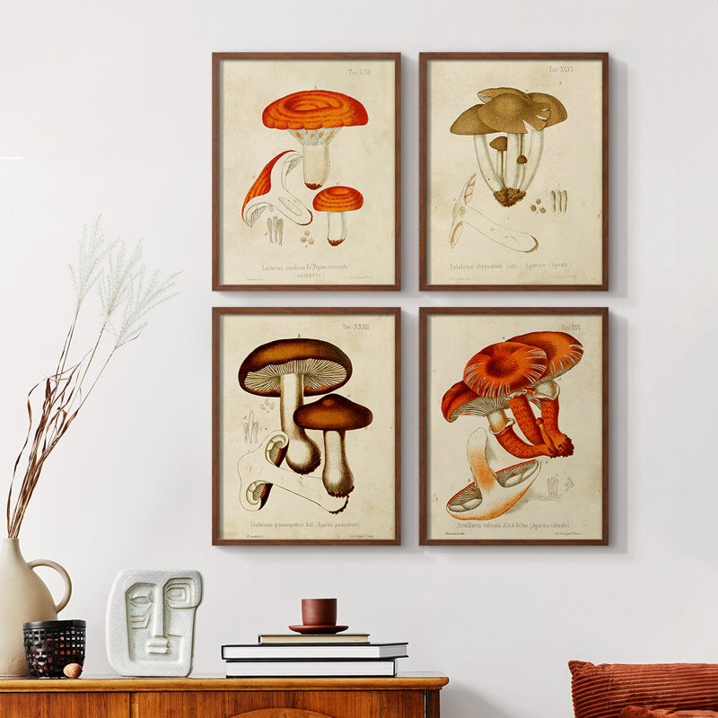 «Mushroom Variétés», reproduction encadrée - ensemble de 4, H 20 po x l 16 po, Naturel