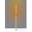 Leif 58'' LED Novelty Floor Lamp-477820995