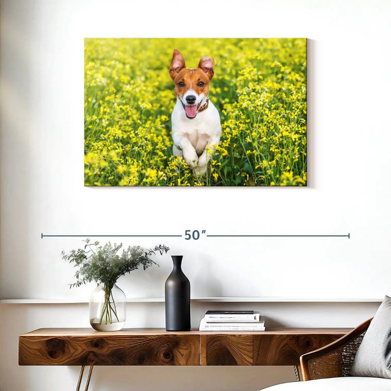Happy Jack Russell, H 24 po x l 36 po