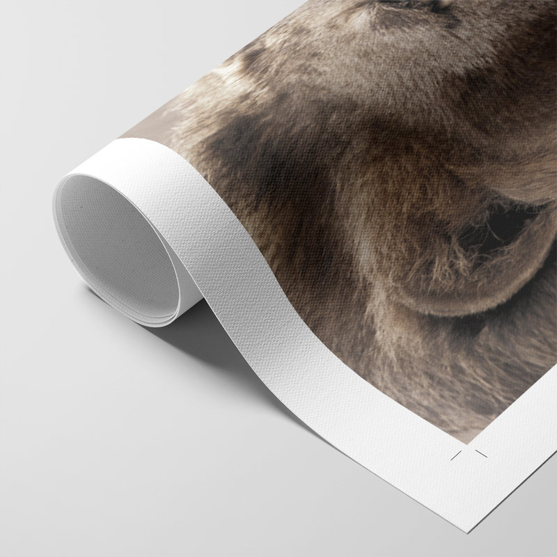 Leo -Canvas Print Only - NOT FRAMED, 60" H x 40" W