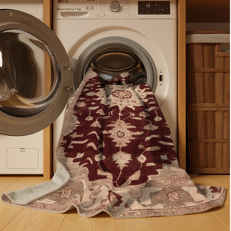 Machine Washable Overdyed Brown Area Rug, Rectangle 2' x 3'