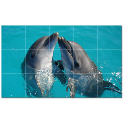 Dauphin photo 12 x 12